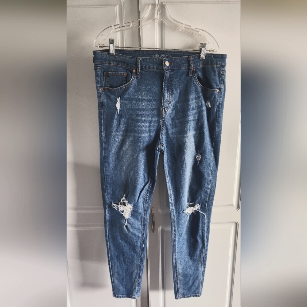Wild Fable Skinny Destroyed Jeans